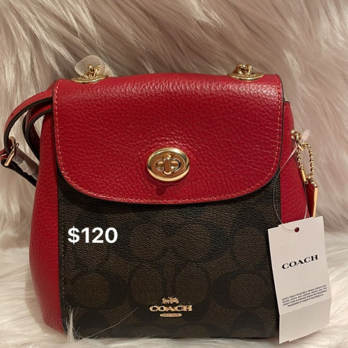 Coach (back pack)